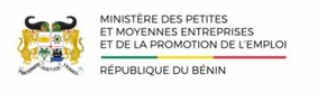 Ministère des Petites et Moyennes Entreprises et de la Promotion de l'Emploi